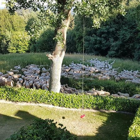Ferienwohnung "Tecklenburger Augenblicke" 外观 照片