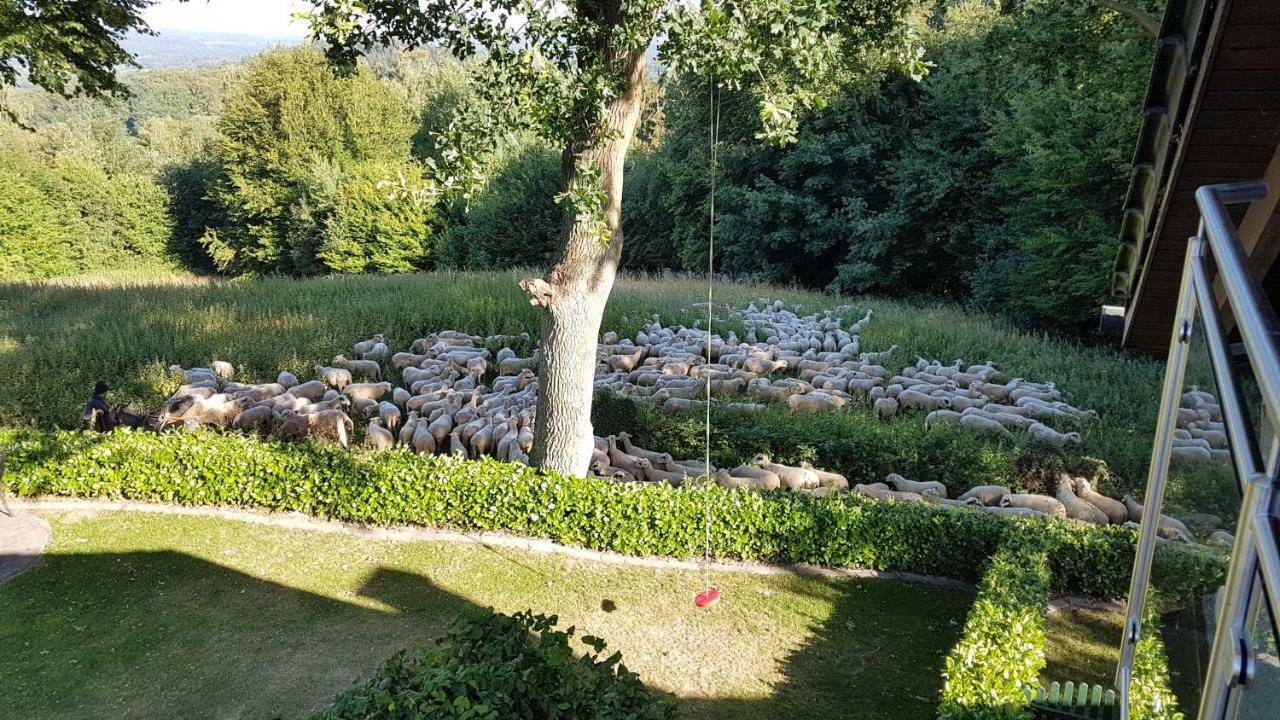 Ferienwohnung "Tecklenburger Augenblicke" 外观 照片